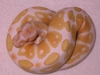 DSCN4062.JPG