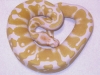 DSCN4104.JPG