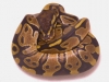 DSCN4113.JPG