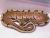 DSCN4128.JPG