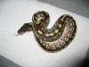 MC_01_07_Mojave1.jpg