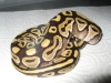 MC_Mojave_07_3_1.jpg