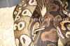 Mojave_2.jpg