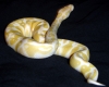 rachels_cam_889_edited.jpg
