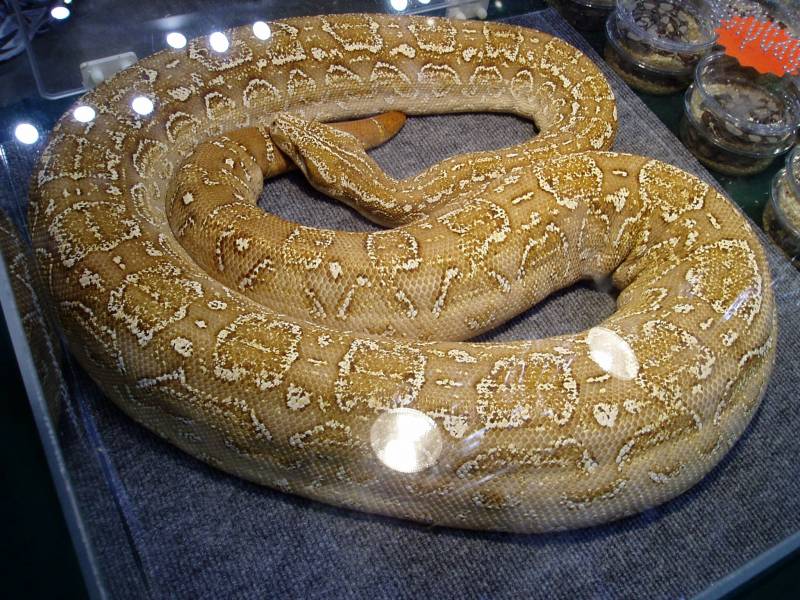 6942P1010032