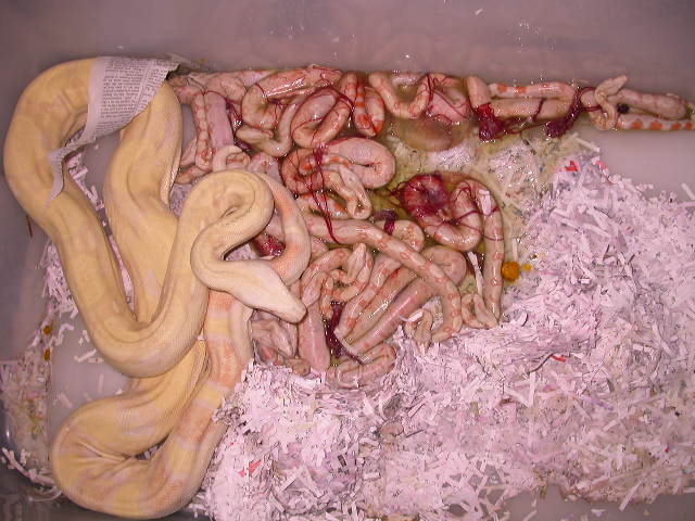 DSCN3223