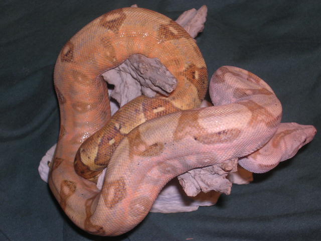 a14april2006_016