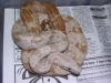 06_hogF-arg-06posssupF_001.jpg