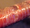 1_Close_up.jpg