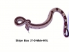 27-D-Male-60_-_600_.JPG