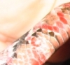 2_close_up.jpg