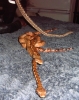 3_yearling_babies.jpg