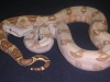 A14M11.jpg