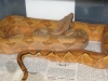 C12_6-10-08_020.jpg