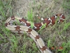 DSC01112.JPG