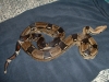 DSCF00092.JPG