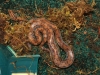 DSCF4769.JPG