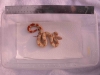 DSCN2115.jpg