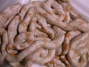 DSCN3254.JPG