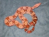 DSCN3360.JPG