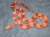 DSCN3362.JPG