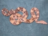DSCN3380.JPG