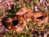 DSCN3467.JPG