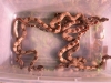 DSCN3468.JPG