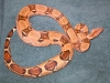 DSCN3478.JPG