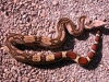 DSCN3697.JPG