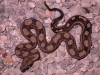 DSCN3719.JPG
