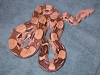 DSCN3816.JPG