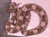DSCN3826.JPG