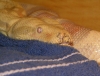 PICT0001.JPG