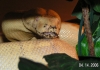 PICT0018.JPG