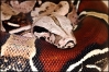 Picture_034.jpg