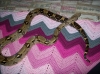 boa_001.jpg