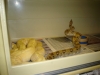 new_camera_087.jpg