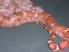 snakes_018.jpg