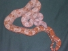 snakes_020.jpg