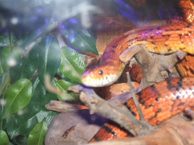 2006_0325Image0091