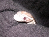 20051204snakes0009.JPG