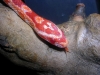 DSCN2437.JPG