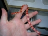 DSCN2667.JPG