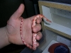 DSCN2668.JPG