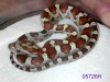 MarsNMiamis36.JPG