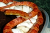 hypo_eggs_001.jpg