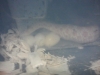 2013-05-01_22_33_55.jpg