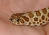 5092Dsc01699.jpg