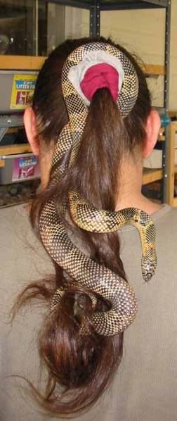 4795pandoraHAIR
